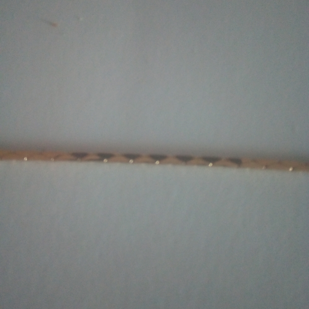 Bracelet - Picture 2 of 3